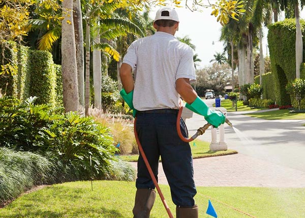 About Fairview KS Pest Control